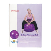 Nantong Massage gym ball with foot pump